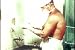 Amazon: Graphic WWII Medical Surgery Film DVD: Remember These Faces w/ Wounded Soldiers Footage (from the World War WW2 Collection)