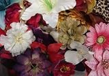 Huge Clearance Sale! Dozen Hair Flower Clips & Barrettes