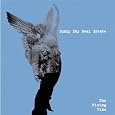 The Rising Tide by Sunny Day Real Estate