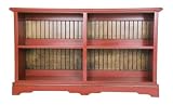 Little Thinker's Bookcase