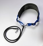 Eigenschaften Europet Bernina  / Europet Bernina Hunde Joggingleine mit Bauchgurt