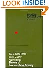 Elements of Noncommutative Geometry (Birkh�user Advanced Texts   Basler Lehrb�cher)