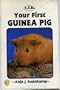 Your First Guinea Pig