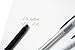 Pilot Ballpoint Pen, Frixion Ball Biz, Silver (LFB-150EF-S)
