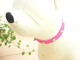 PETSTEP �����꡼���ѥ������顼 10 L �ԥ� 16333