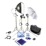 Lowel DV Core 250 Lighting and Accessories Kit with TO-83 Case