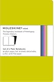 Moleskine Volant Notebook Large Plain Green