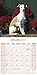 Italian Greyhound Calendar - Breed Specific Italian Greyhound Calendar - 2016 Wall calendars - Dog Calendars - Monthly Wall Calendar by Avonside