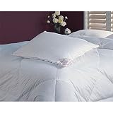 Royal Velvet Down and Feather Fill Pillow Set, Jumbo by SmartBargains