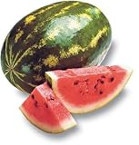 WHOLE WATERMELON FRESH FRUIT PRODUCE VEGETABLES FLORIDA GROWN