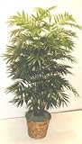 Review Silk Plants Plus  / NEW! 5' DOUBLE Elegant Phoenix Palm
