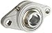 MRC C2F100ZMG Flange Unit, 2 Bolt Holes, Relubricatable, Non-Expansion, Composite, Setscrew Locking Inner Ring, ZMaRC Coated Insert, Inch, 1" Bore Diameter