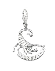 Sterling Silver SCORPIO Charm