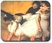 Degas - Dance Examination - Mouse Pad