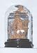 Chinese cork carving / sculpture / picture with glass dome