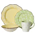 Paula Deen Dot Crazy 16-pc. Dinnerware Set