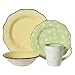 Paula Deen Dot Crazy 16-pc. Dinnerware Set