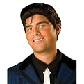 Hairspray Link Larkin Wig