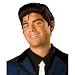  : Hairspray Link Larkin Wig