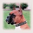 C LTH SPIKE COLLAR 1"X18"-BLK