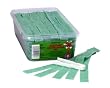 Sour Power Green Apple Belts, 150-Count Tubs (Pack of 2)