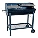 Holzkohle Standgrill