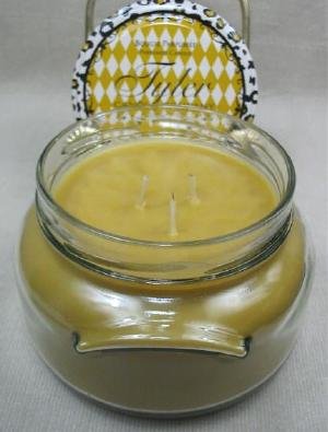 Fleur-De-Lis Tyler 22 oz Medium Scented 2-Wick Jar Candle