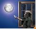 Uncle Milton Moon In My Room