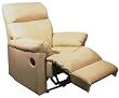 Bone Multi Position Leather Recliner By Coaster Furniture