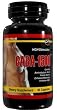 GABA-1500 - 90 Capsules 1500mg GABA Gamma Aminobutyric Acid Amino Acid as a Neurotransmitter
