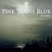 Anklicken zum Vergrößeren: Pink Turns Blue - Storm (Audio CD)