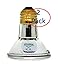 Sylvania 14502 50 Watt PAR20 Narrow Flood Light Bulb 30 Degree Beam Spread 120 Volt 50PAR20, 2 Pack