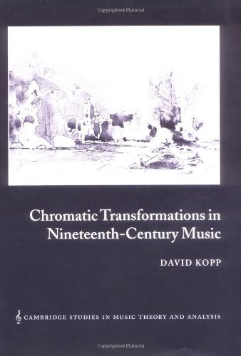 Chromatic Transformations in Nineteenth-Century Music (Cambridge Studies in Music Theory and Analysis)