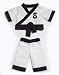 The Adventures Of Zylie The Bear - Shen The Panda's A Martial Artist Outfit Pack