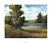 Auburn Meadow - Ethan Harper Art Print Poster 34 x 28