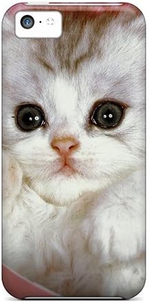 Anglams BXU2134sXFB Case For Iphone 5c With Nice A Kitten In A Hatbox Appearance