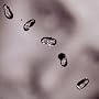 Up ~ Peter Gabriel