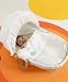 Moses Basket