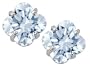 2.00 cttw Genuine Aquamarine Clover Cut Earrings in 14k White Gold