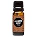 Edens Garden Allspice Essential Oil, 100% Pure Therapeutic Grade (Undiluted Natural/Homeopathic Aromatherapy Scented Essential Oil Singles) 10 ml