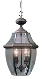 Quoizel NY1178Z Newbury 2-Light Outdoor Hanging Lantern, Medici Bronze by Quoizel [並行輸入品]