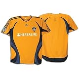 LA Galaxy 07/08 Training Jersey