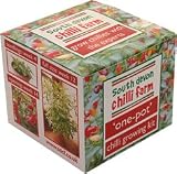 One-Pot Chilli Growing Kit