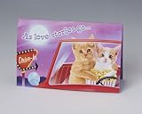 Kitty Drive-in Hyper Pop-Up Valentines Card