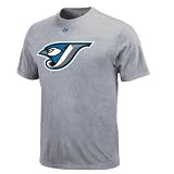 MLB Toronto Blue Jays Youth Short Sleeve Basic Tee (Steel Heather, X-Large)