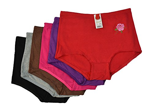 Alfa Global Women's Plus Size Pack of 6 Ultra Comfortable Brief