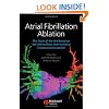 Atrial Fibrillation Ablation: The State of the Art based on the Venicechart International Consensus Document