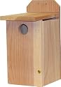 Bluebird House