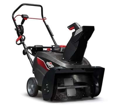 Briggs & Stratton 822 SS 22