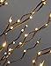 Lightshare™ NEW 6Ft 240L LED Star Light Tree,+Free Gift:10L LED Star Twinkling(RGB)Decoration Light,Home/Festival/Party/Christmas,Indoor and Outdoor Use,Warm White